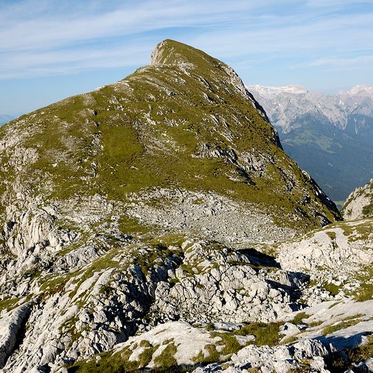 Großes Fieberhorn