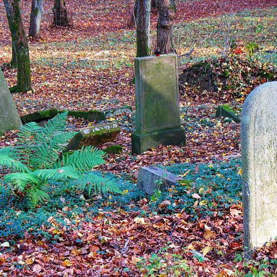 Cmentarz żydowski w Świdwinie