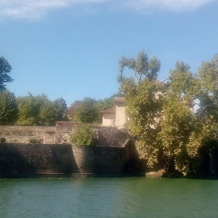 Île Barbe