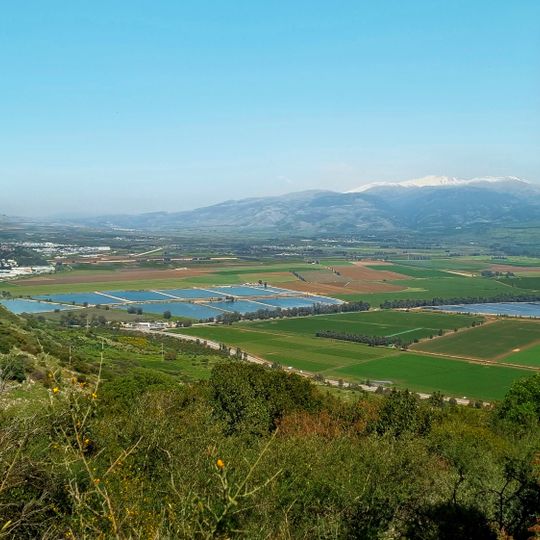 Galilee panhandle