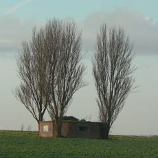 Pillbox Square Type At Grid Ref. Sk 62259 36823