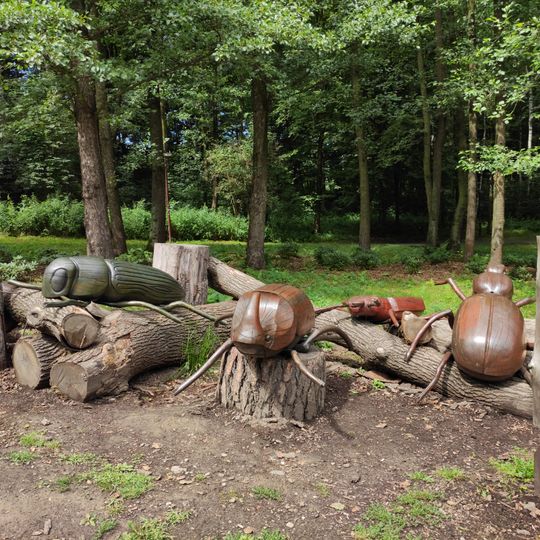 Beatle-Nests in ZOO Ostrava