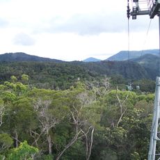 Skyrail Rainforest Cableway