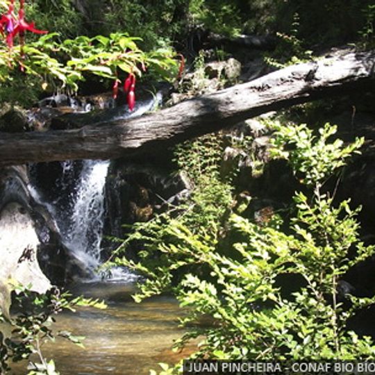 Parque nacional Nonguén