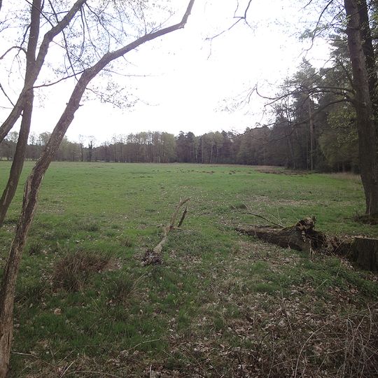Fleckernheide