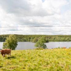 Lönern