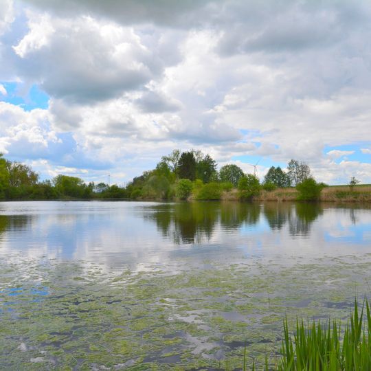Burghofweiher bei Langerringen