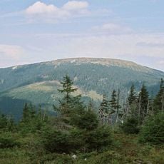 Nature reserve Śnieżnik Kłodzki