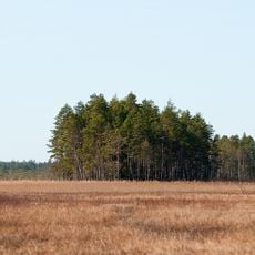 Stora Bötet Nature Reserve