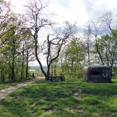 Widok (Wzgórza Bukowe)