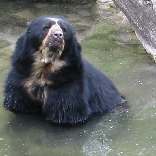 Laquipampa Wildlife Refuge