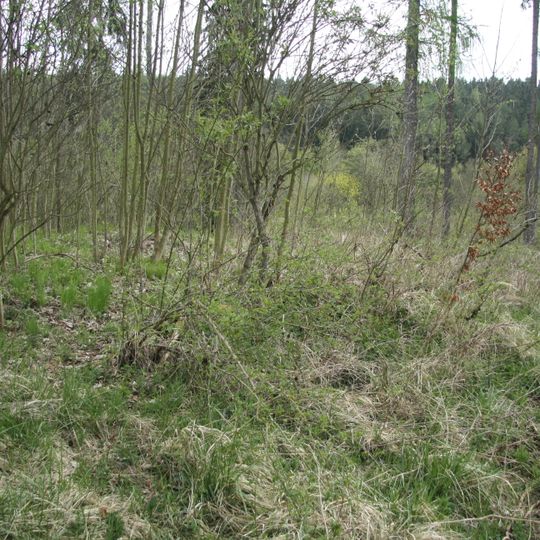 Lesní Jakubov Castle