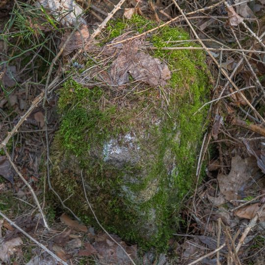 Grenzstein Untere Gemeinde in Fürth