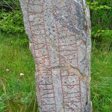 Västergötlands runinskrifter 101