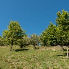 LSG Gaffelntal und Kiepenberg