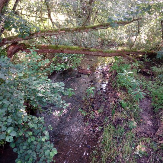 Bleichenbachtal zwischen Bergheim und Bleichenbach