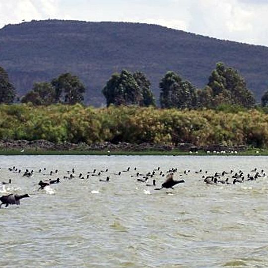 Lake Naivasha