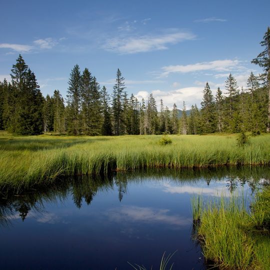 Réserve naturelle régionale de la tourbière des Saisies