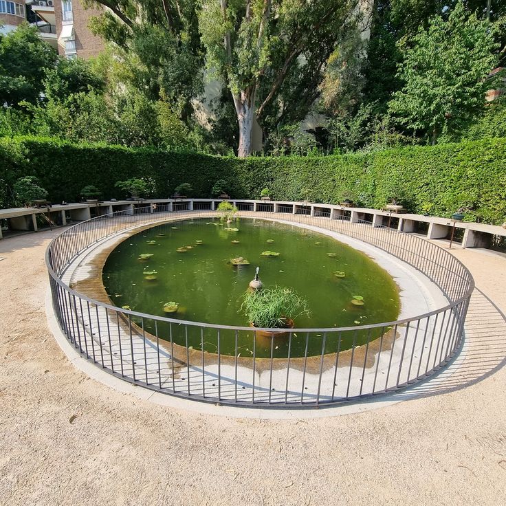 Estanque de los Bonsais