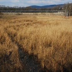 Retentionsbecken Auhof