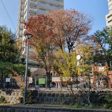 代官山公園