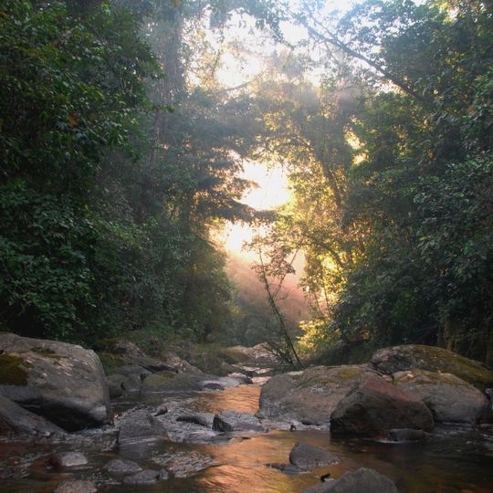 Bladen Nature Reserve