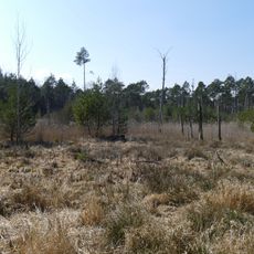 Rotter Forst und Rott