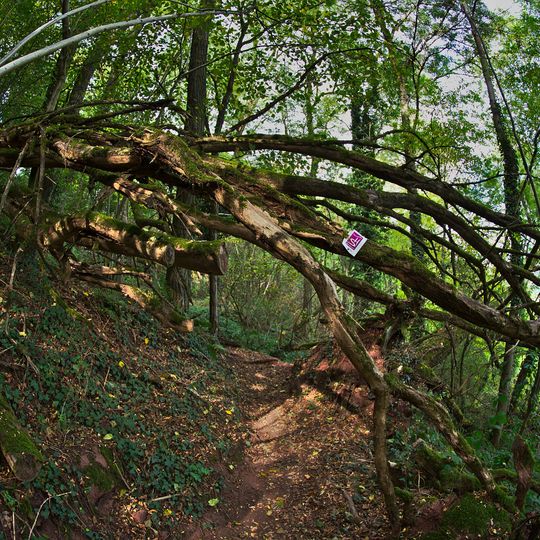 Landschaftsschutzgebiet im Landkreis Saarlouis - im Bereich der Gemeinden Wallerfangen und Überherrn und der Stadt Saarlouis