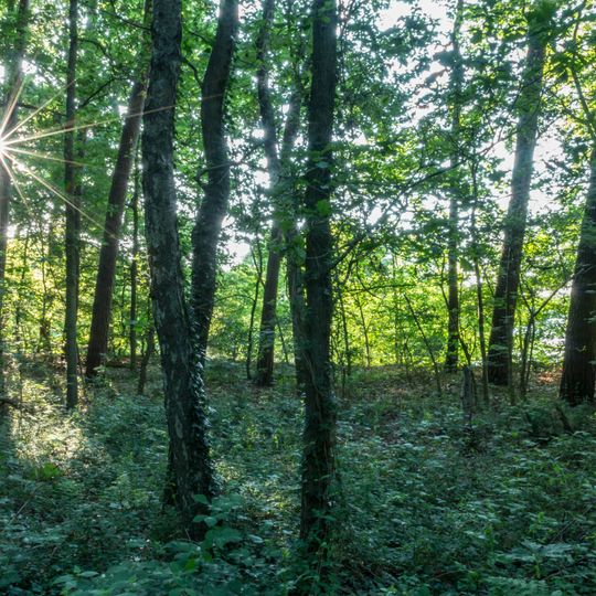 NSG Seebucht Hohe Niemen