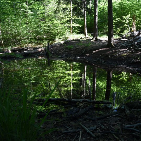 Amphibienteich an der Göppinger Steige