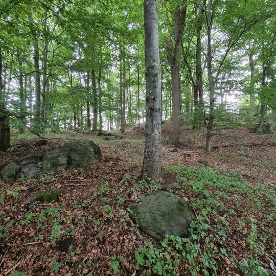 Redwitzitkuppe Bühl W von Wölsauerhammer