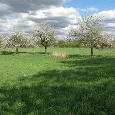 Freiburger Rieselfeld