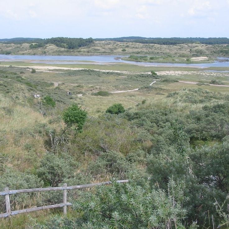 Zuid-Kennemerland nasjonalpark