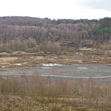 Messel pit