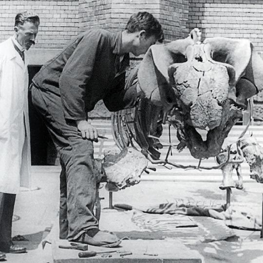 Sitio Paleontológico Chiniquá