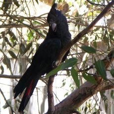 Dipperu National Park