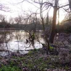 Lodge Wood and Sandford Mill