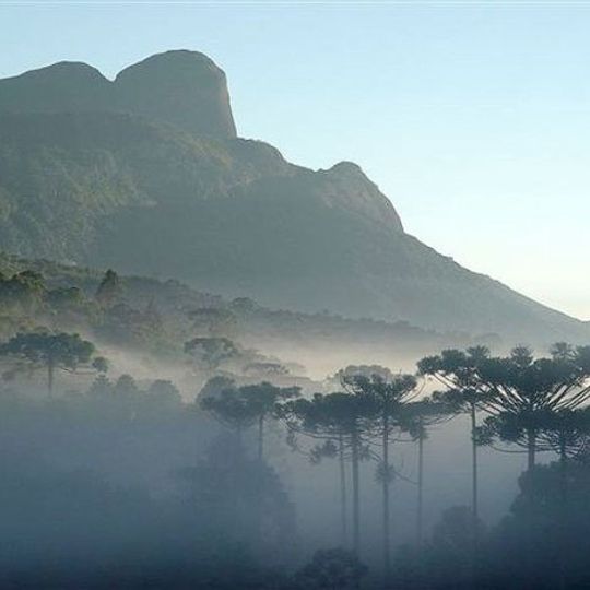 Pico do Papagaio