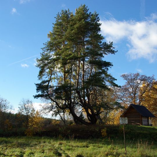 Härmä Kalmepettäi