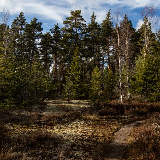 Rövallsmossen och Stingsmossen