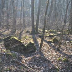 Naturwaldreservat Wolfsee