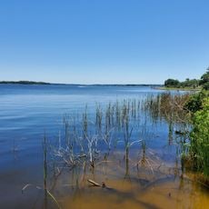 Lake Tarpon