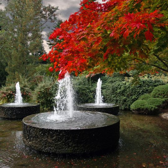 Jardín Botánico del Bosque de Colonia
