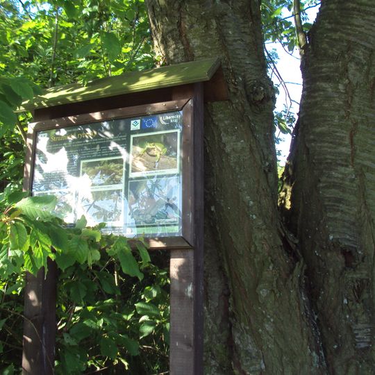 Stružnické rybníky