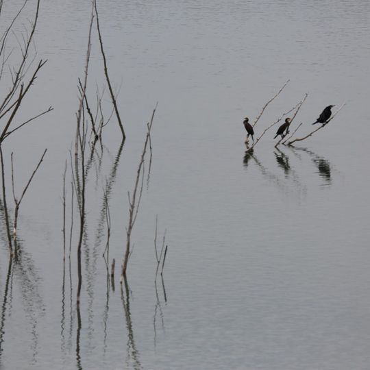 Teufelsee und Pfaffensee zwischen Echzell und Reichelsheim-Weckesheim