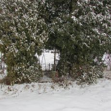 Kříž východně od Popelištné u křižovatky