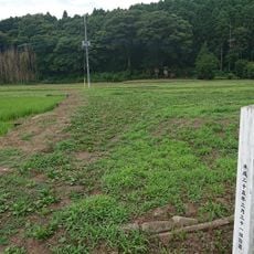 Izumisakashita Site