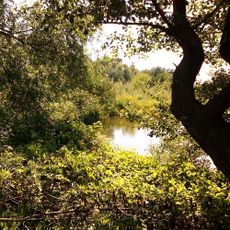 Специјални резерват природе Брзанско Моравиште