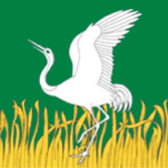 Mshinskoye rural settlement