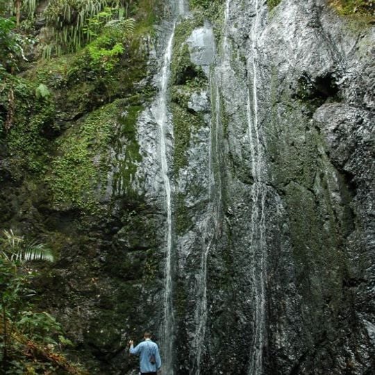 Parc national de Pha Daeng